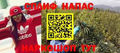 PSILOCYBIN Бердск