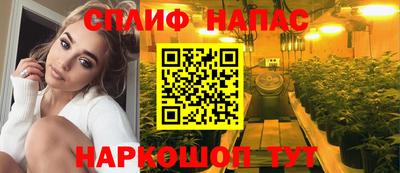PSILOCYBIN Бердск