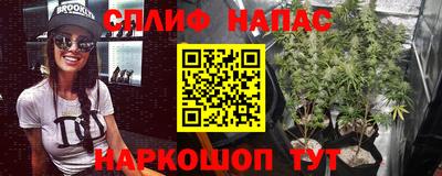 PSILOCYBIN Бердск