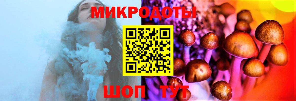 Воскресенск  Галлюциногенные грибы Psilocybine cubensis  Вход с VPN 